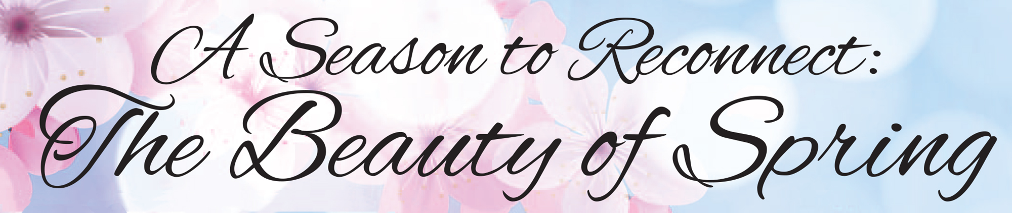 spring title